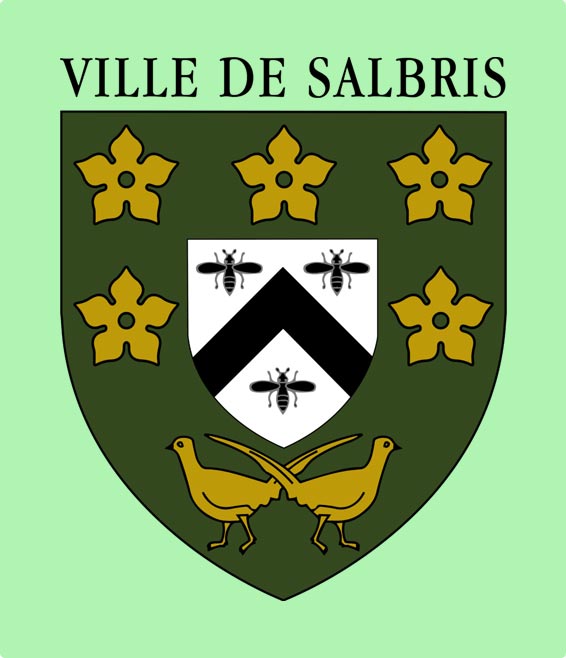 ville-salbris